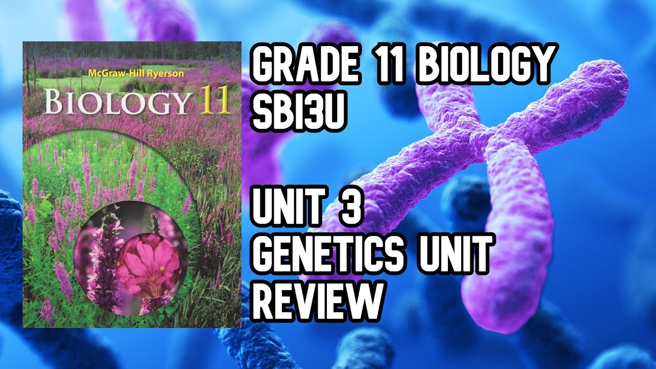 SBI3U - Unit 3 Genetics Unit Review | Full Student Note In Description (Grade 11 Biology)