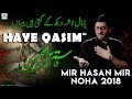 Nohay 2018 | Haye Qasim ع | Mir Hasan Mir New Noha 2018-19 | Noha Mola Qasim | Nohay 2019