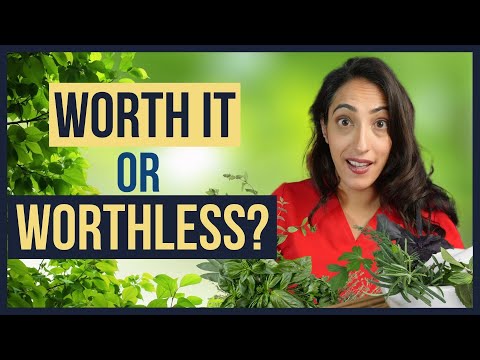 Ginkgo and Maca Root for Supercharged Erections? Urologist Reveals the Truth