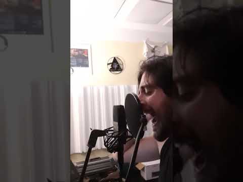 Soundgarden - The day I tried to live - Live vocal cover #soundgarden #superunknown