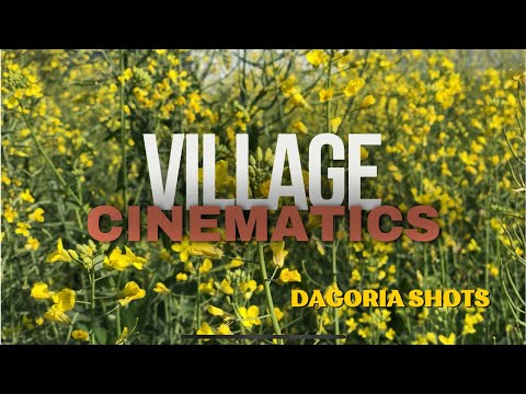 Welcome To Village! Cinematic shots of Village ❤️ #village #life