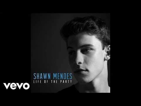 Shawn Mendes - Life Of The Party (Audio)