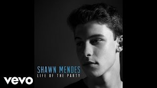 Shawn Mendes - Life Of The Party (Audio)