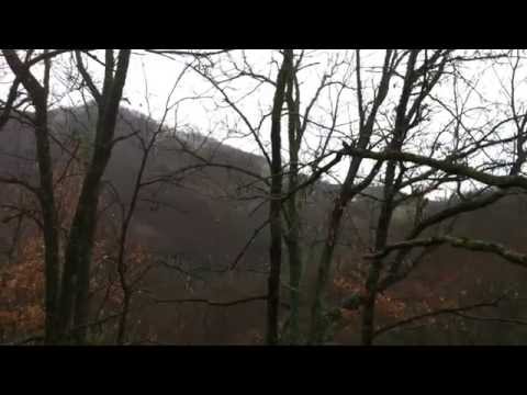 Jack Bernini. Rainy Times