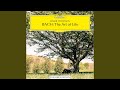 Petzold: Minuet in G Major, BWV Anh. 114 (Notebook for Anna Magdalena Bach, 1725)