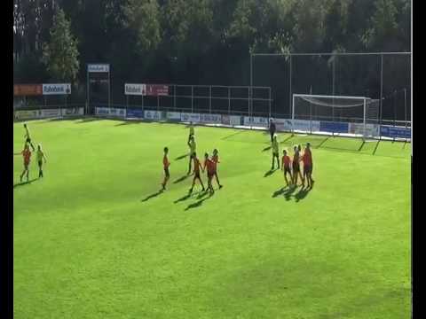 Samenvatting OZC JO13 1   Nieuwleusen JO13 1