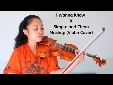 I Wanna Know x Simple and Clean - Flipboitamidles Mashup (Violin Cover)
