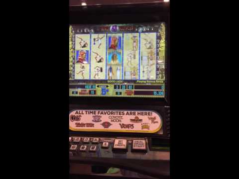 Pharaoh fortune massive payout!  Over 50 free spins with 4X multiplier!!!!