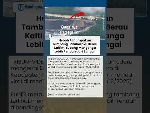 Heboh! Kondisi Tambang Batubara di Berau Kaltim, Lubang Menganga Lebih Rendah dari Aliran Sungai