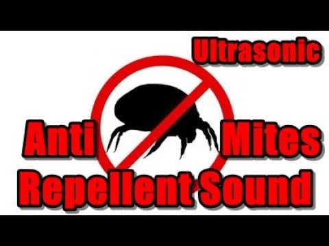 Anti Mites Repellent Sound #AntiMites