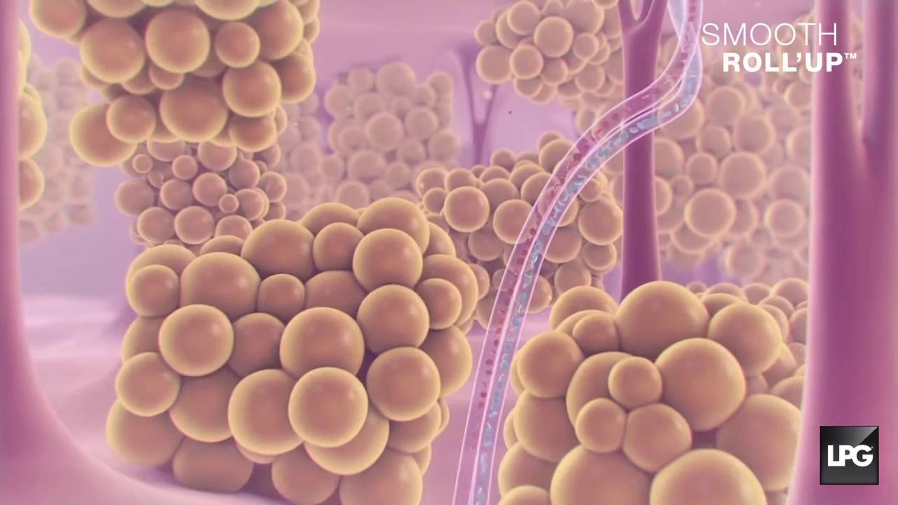 Dafne Arellano Montalvo-69