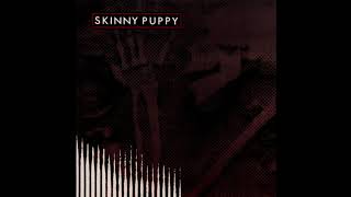 Skinny Puppy ‎– Glass Houses