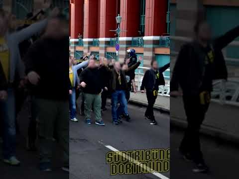 Die Schlacht am Rudoflplatz (Schalke vs Köln und BVB) #ultras #bundesliga #fußball #bvb #s04 #fcköln