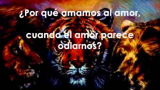 Lions, Tigers &amp; Bears - Jazmine Sullivan (Subtitulado en Español)
