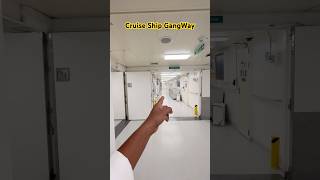 Cruise Ship GangWay #cruiseship#shorts#travel#trendingshorts#ship#cruiseship
