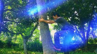 Climbing Coconut Trees In The Plant Field