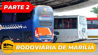 Movimento na RODOVIÁRIA de MARÍLIA [Parte 2] #onibus