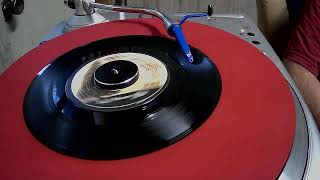 Sweet Magnolia And the Travelling Salesman ~ Dan Fogelberg ~ 1984 ~ Radio Promo ~ Styrene
