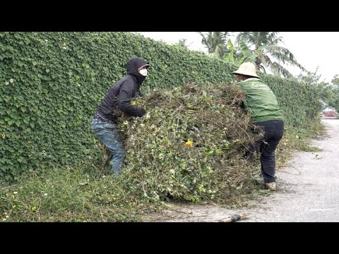 👉 A Silent Cleanup, A Shocking Result — The Neighborhood Couldn't Believe Their Eyes.
