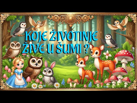 Upoznaj šumske životinje! 🦉🐿️ Saznaj što rade i što jedu!🌲🦌🦊🌲🌳🦡