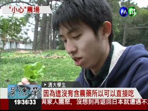 清大生學種菜 種不活就被當