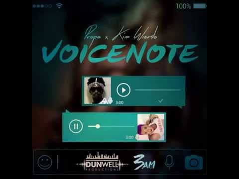PROPA x KIM WIERDO - VOICENOTE (RAW)