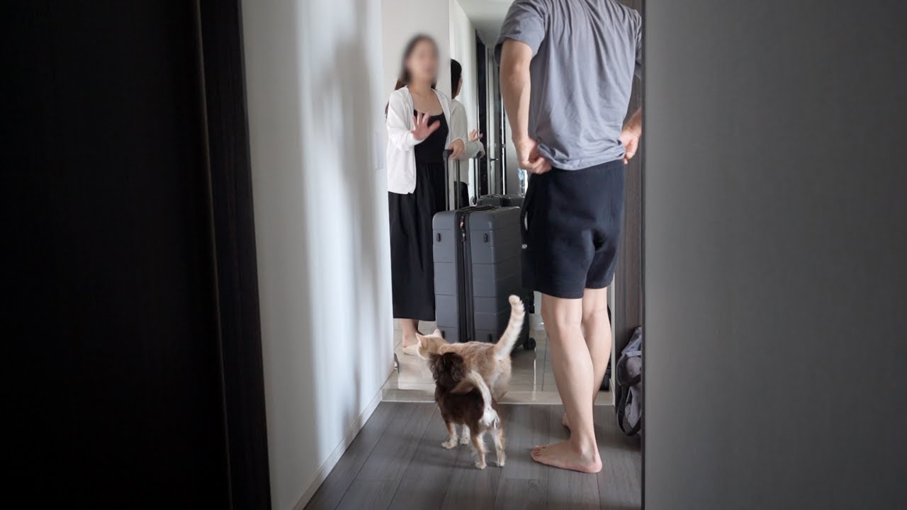 突然妻が実家に帰ることになりました。