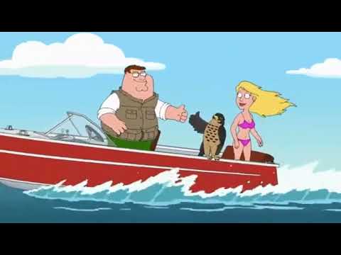 Peter and Sidecar Falcon