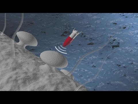 Neue Waffen im Kampf gegen Antibiotika-resistente Bakterien - science