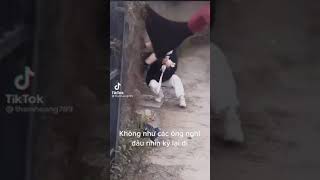 【大事件】スカートが脱げる