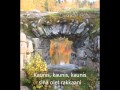 Sinä olet kaunis 