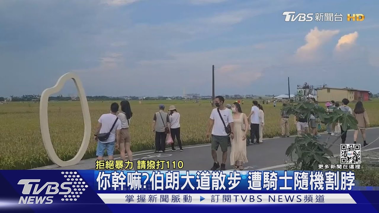 你幹嘛? 伯朗大道散步 遭騎士隨機割脖