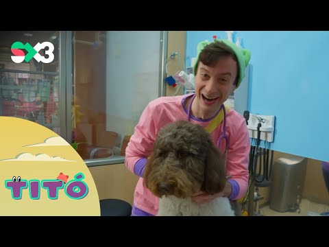 Excursió al veterinari | Titó