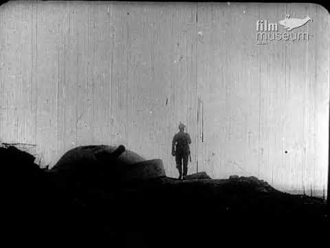 The taking of Przemysl [Archive Title]