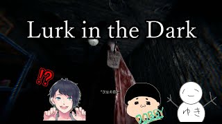 【Lurk in the Dark】完全所見でかなり戸惑う寒い夜