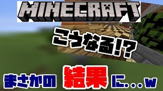 [マイクラ]マイクラやったことのない超絶初心者の姉に家作らせたら...?ww[初心者]