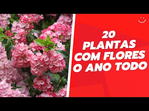, title : '20 PLANTAS QUE FLORESCEM O ANO TODO'