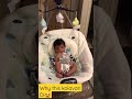 Why This Kolavari Kolavari Di Babyswing Rudra Shorts Youtubeshorts Viralvideo