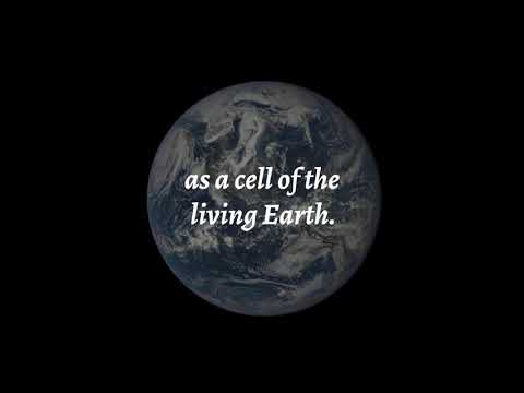 See Yourself Every Day as a Cell of the Living Earth 🌎 Reb Zalman 🌍 Deep Ecumenism