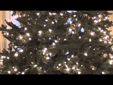 Holiday Prep: Trimming the Tree