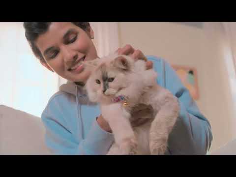 India Collaborations