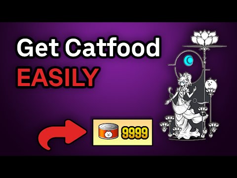 How To Get Catfood EASILY (2025)