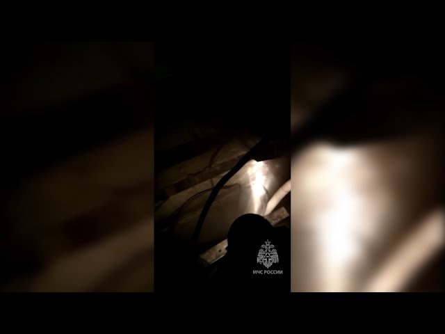 Эвакуация в гипермаркете «Аллея»