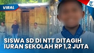 Miris! Siswa SD NTT yang Tak Mampu Beli Buku Tulis Ditagih Iuran Sekolah Rp1,2 Juta, DPR Selidiki