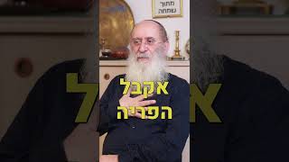 'רק אני מבין את האמת?' התשובה המפתיעה של הרב אורי שרקי 🤔