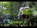 JUNGLE CRUISE At Disneyland FULL RIDE POV GREAT QUALITY 1080p HD