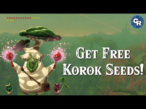 How to EASILY Dupe Korok Seeds (Step by Step Guide)