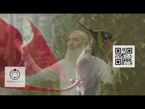 39 - Mistério do Beija-Flor - Hinário O Caminho do Coração