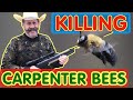 Kill 🐝🔫 Carpenter Bees FAST & EASY -Stop these Huge Flying Destroyers of Wood and Kill ALL Newcomers