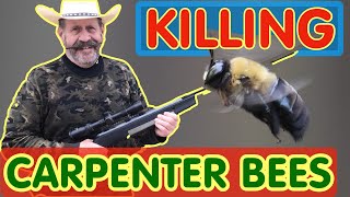 Kill 🐝🔫 Carpenter Bees FAST & EASY -Stop these Huge Flying Destroyers of Wood and Kill ALL Newcomers